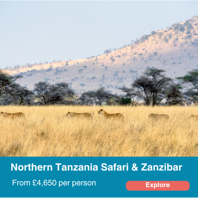 northern tanzania and Zanzibar