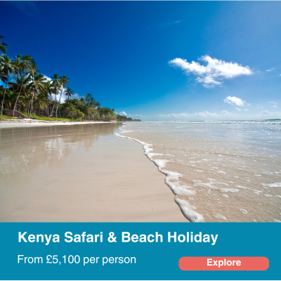 kenya safari and beach holiday