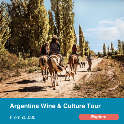 Argentina Wine & Culture Tour