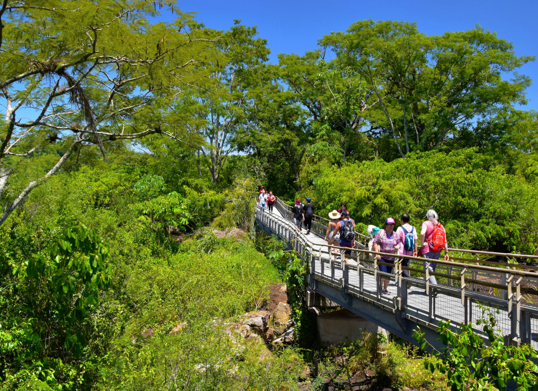 A group of people are walking across a wooden bridge surrounded by trees and bushes. 