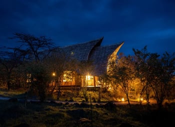The exterior of the main lodge is lit up with warm lights during the evening. It has a thatched roof and is surrounded by trees.