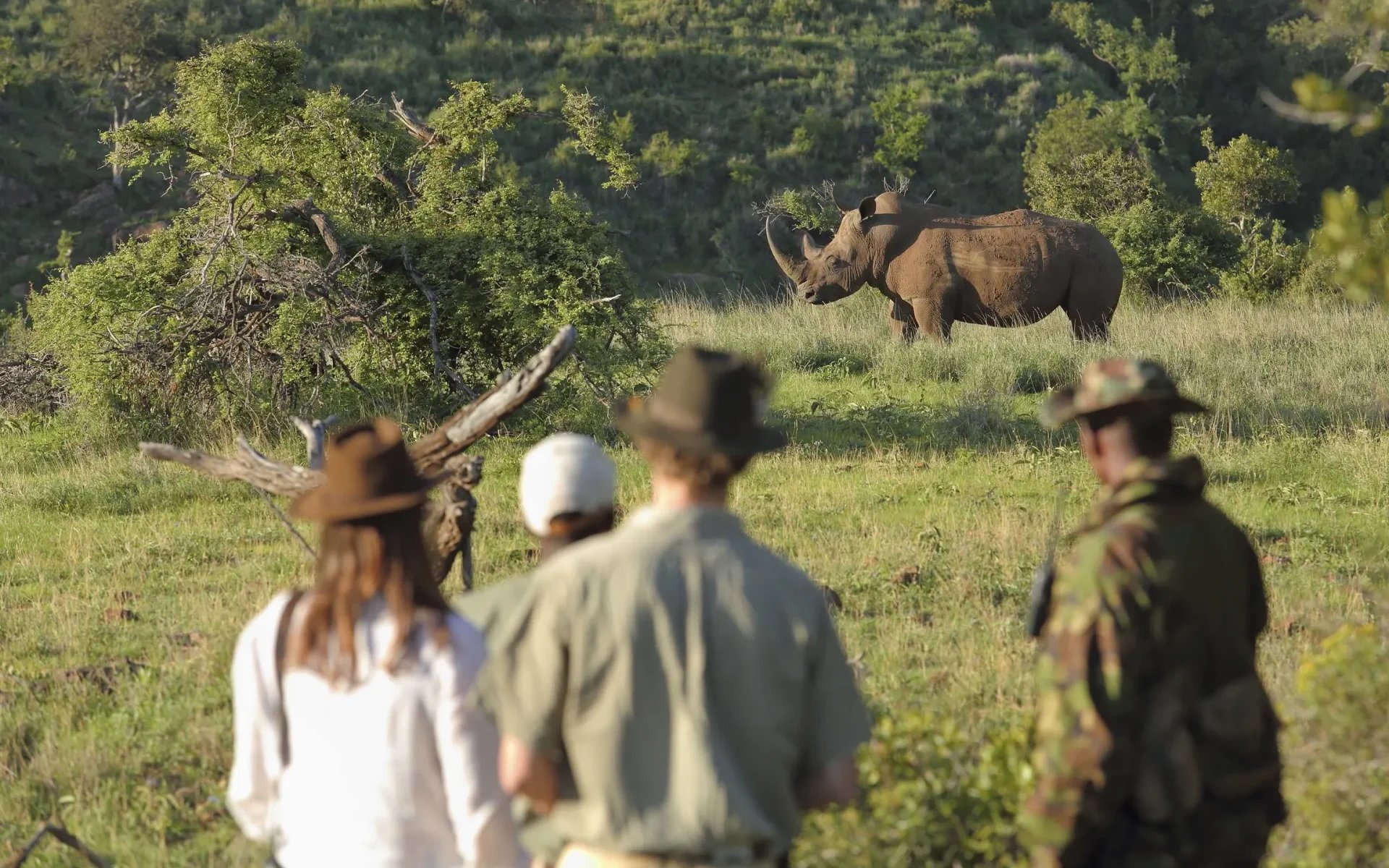 Some guests accompany a local guide on a bush walk, they gaze at a rhinoceros in the bush.
