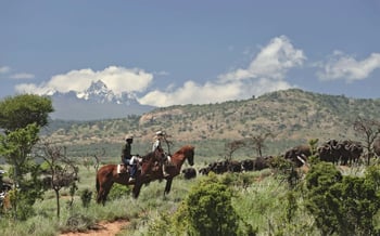 Two people are horseriding in Kenya at Borana Lodge.