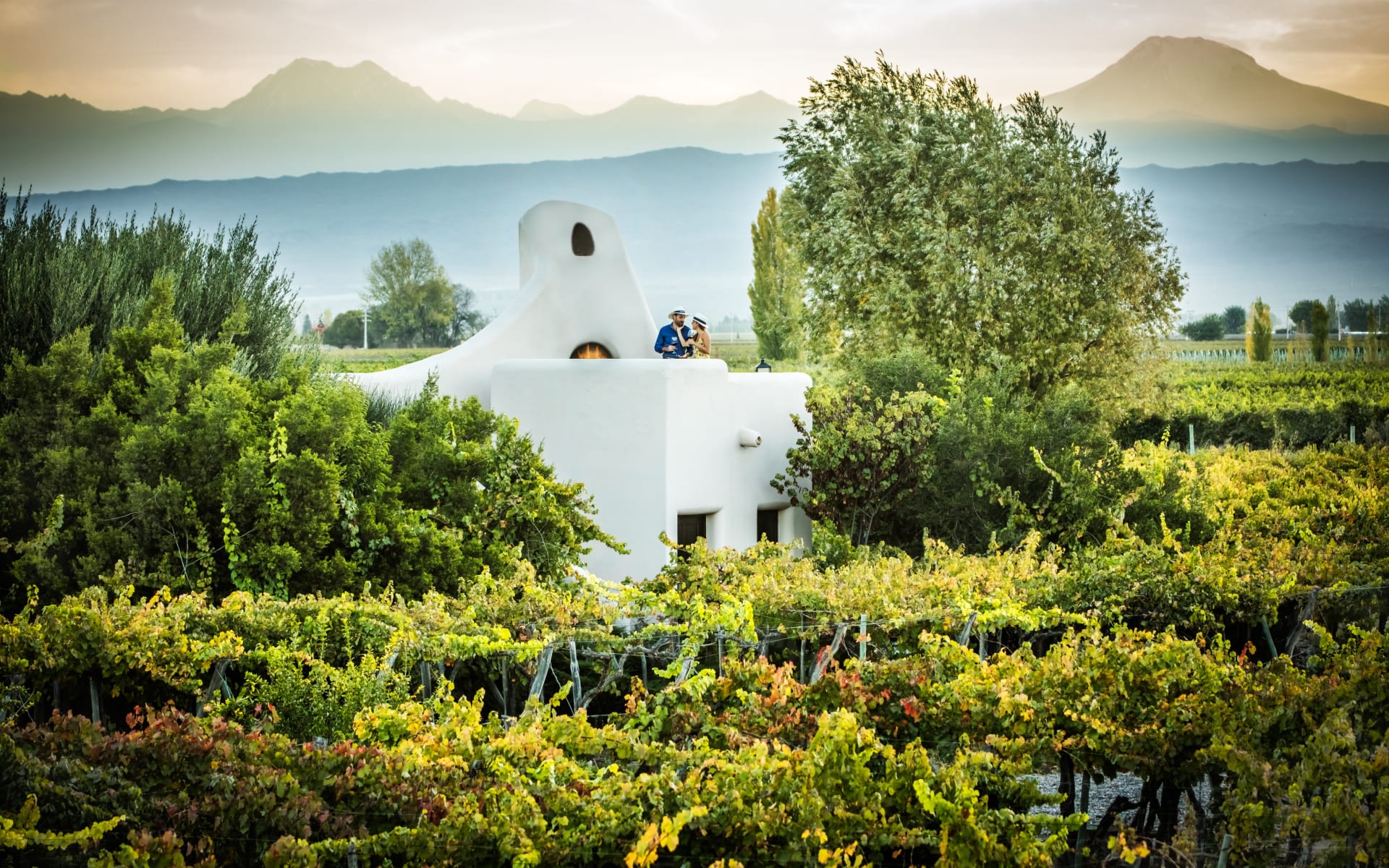 Canvas Wine Lodge sits in the middle of a vineyard with The Andes in the background.