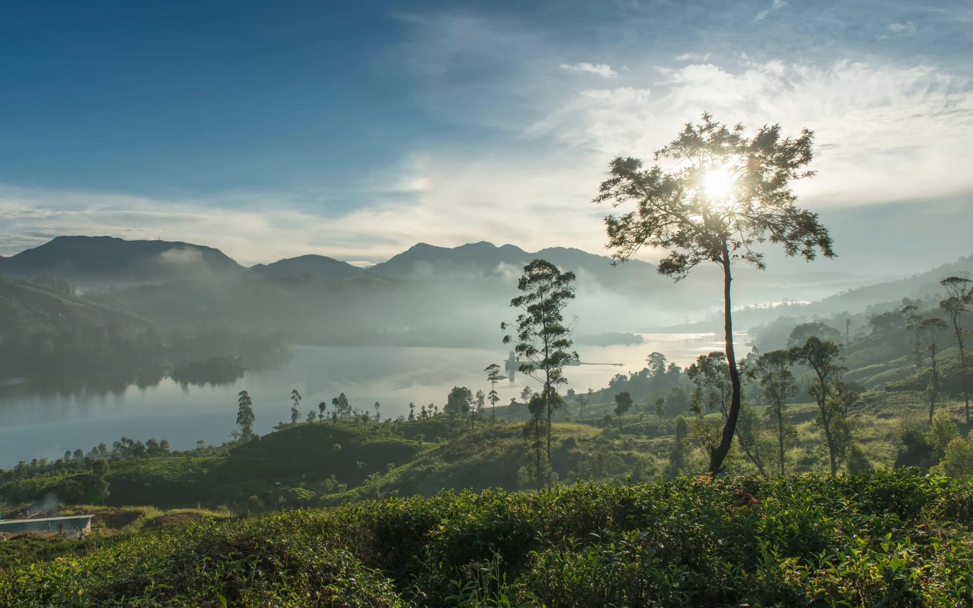 The countryside around Ceylon Tea Trails. 