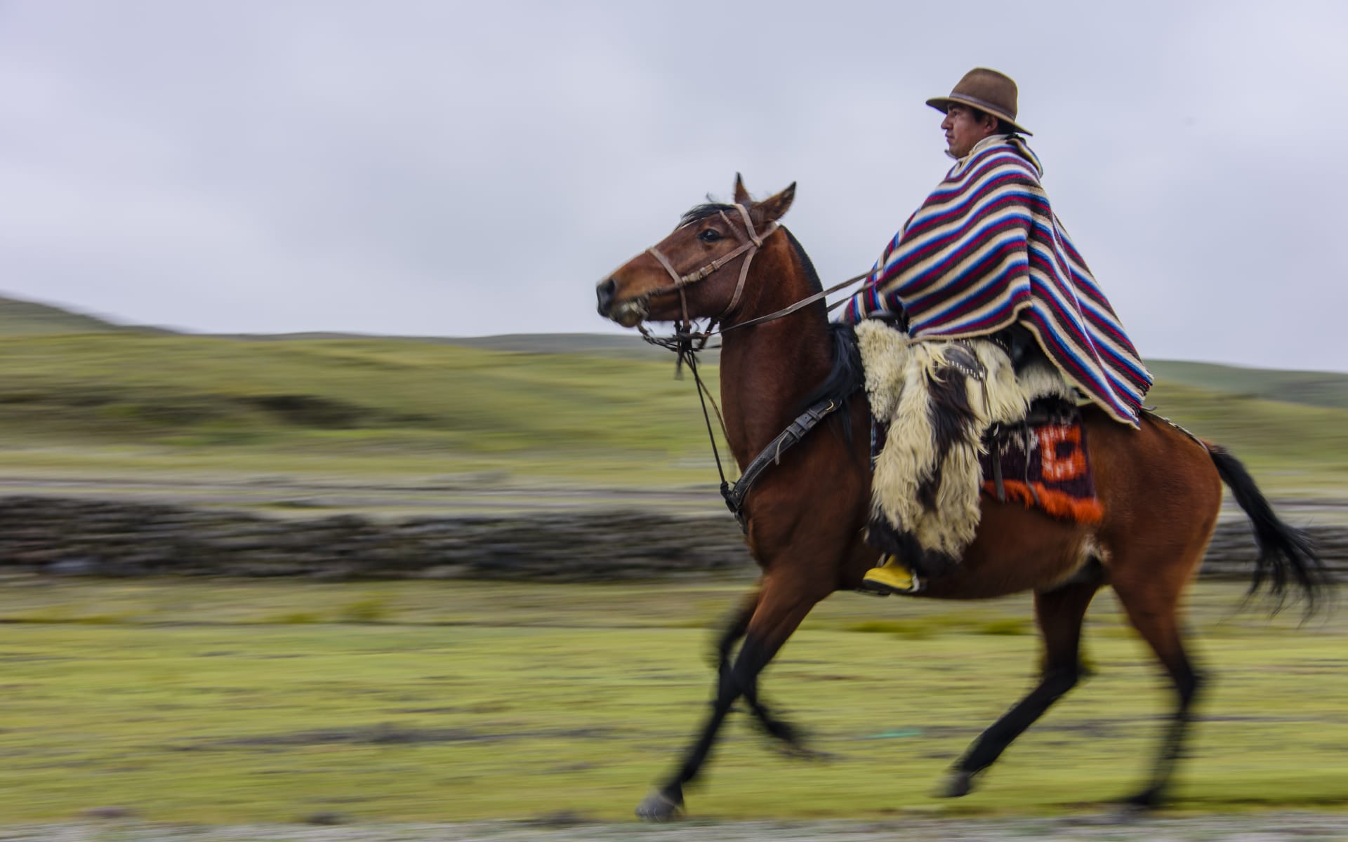 Chilcabamba_Mountain_Lodge_Horseback_riding_by_Rafael_aqmboy-1