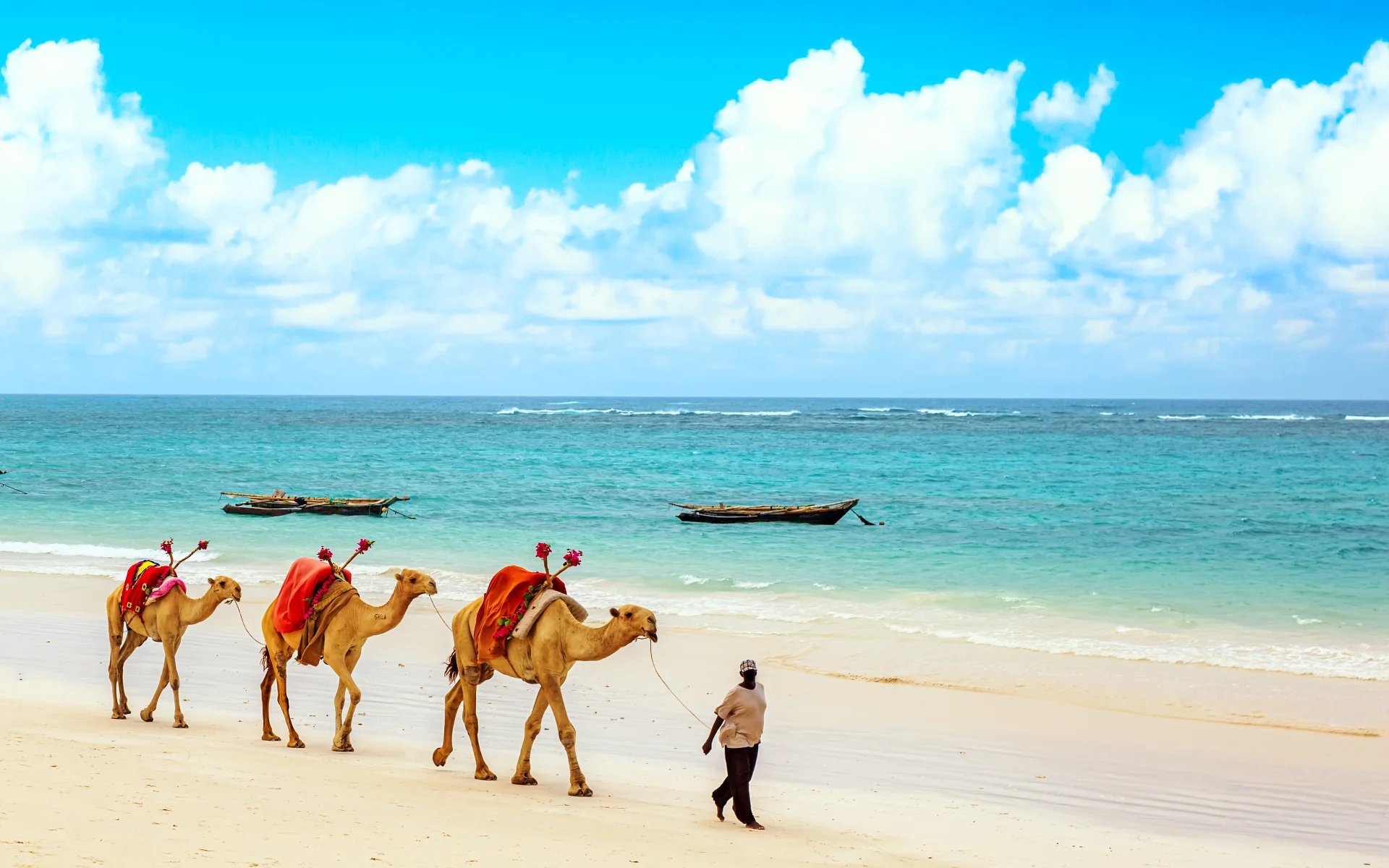 Diani-Beach_Kenya_camels_shutterstock_2002170749_oxywai