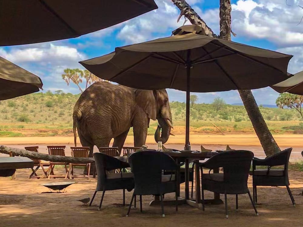 Elephant_Bedroom_Camp_Samburu_2_wagyvc