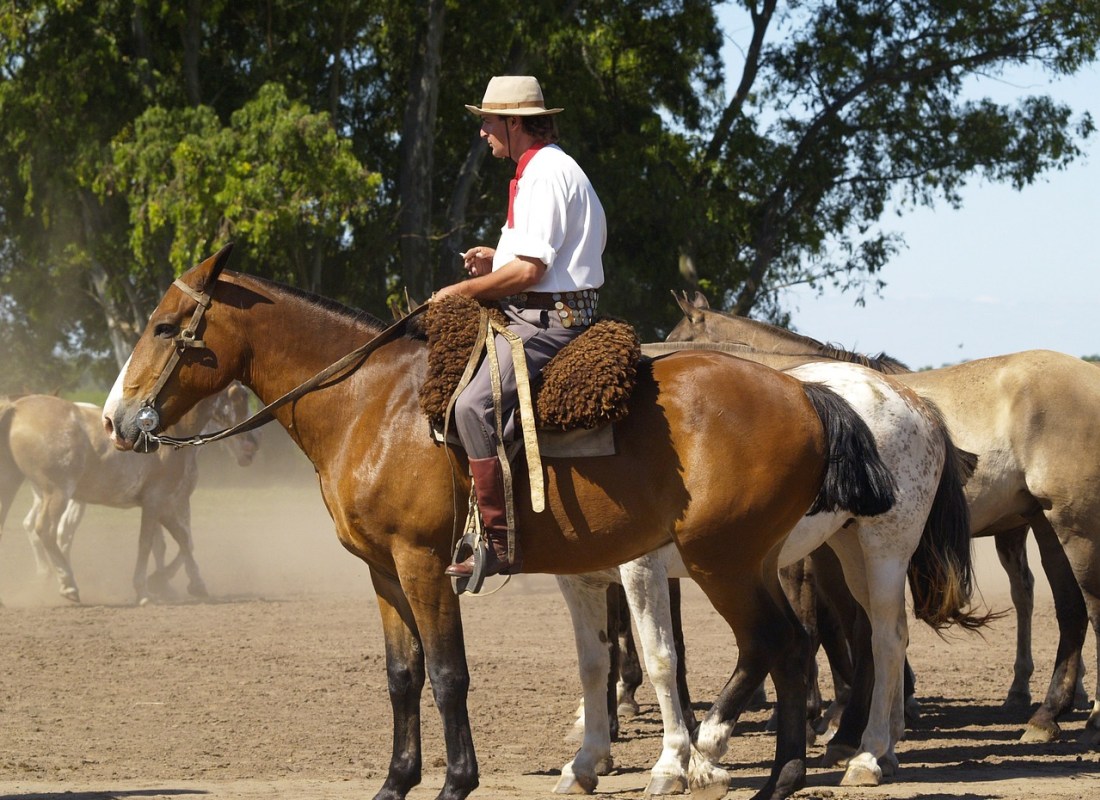 A man in a white shirt sits atop a brown horse and is surrounded by other horses.
