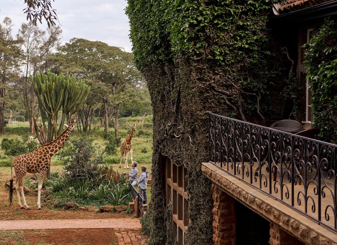 The view from one of the hotel's balconies showed vast green, tall trees and a loitering giraffe.