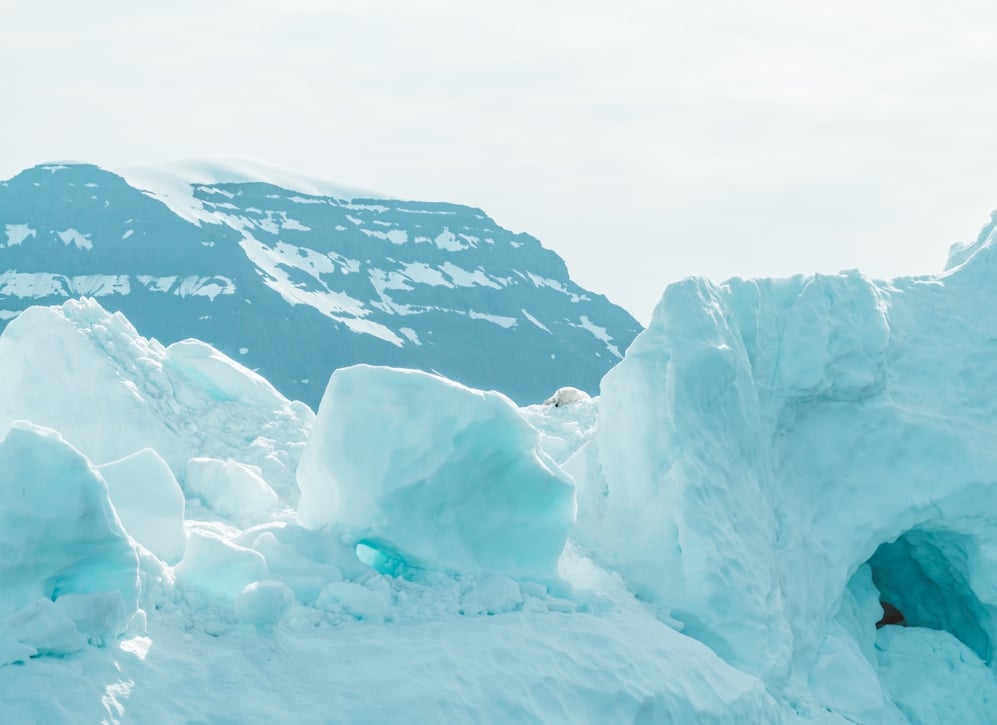 Glacier_polar_bear_arctic_free_stock_photo_annie-spratt_2020