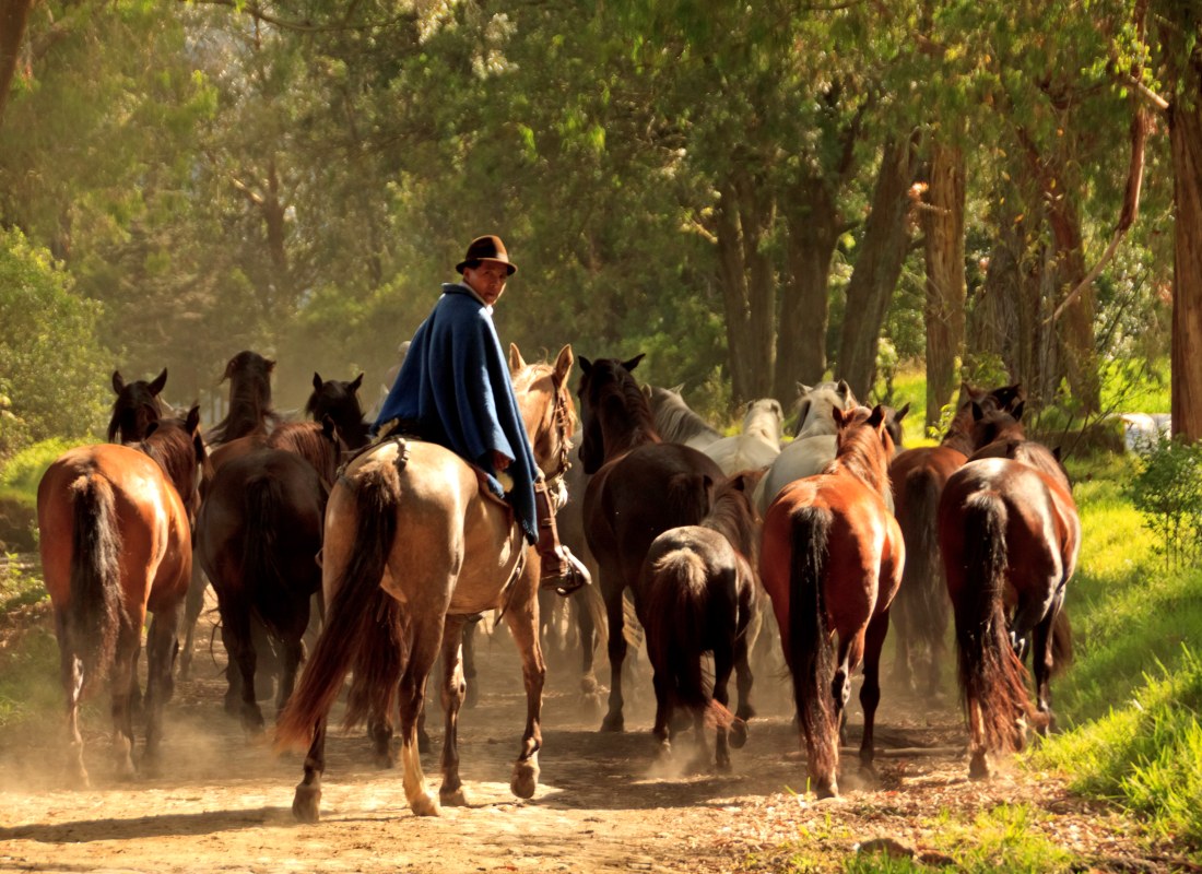 Hacienda_Zuleta_Horse_Rider_mxkbmx-2