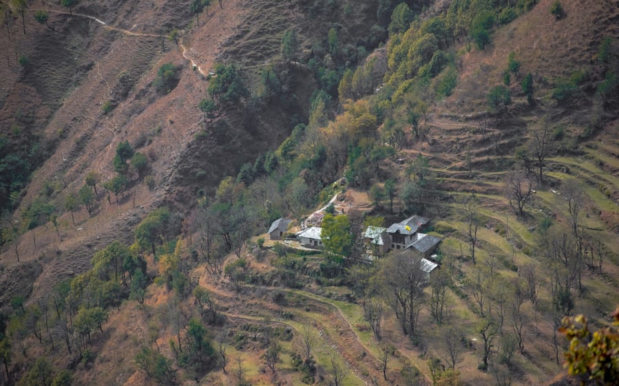 Palampur mountain side tea farm
