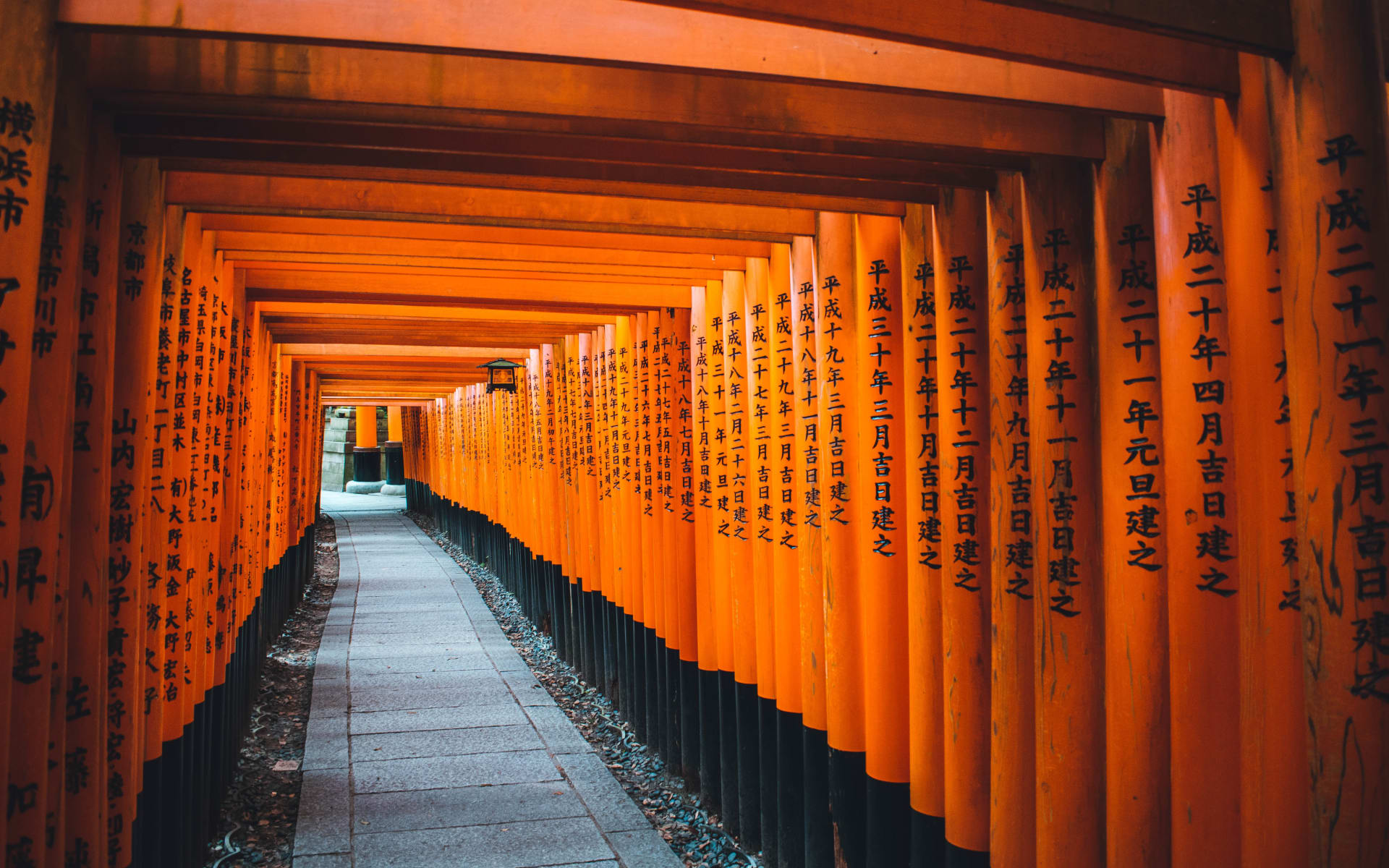 Kyoto_Torii_Gates_Free_Stock_Image_Unsplash_2019_CCRomeo_A_okuzlk-2