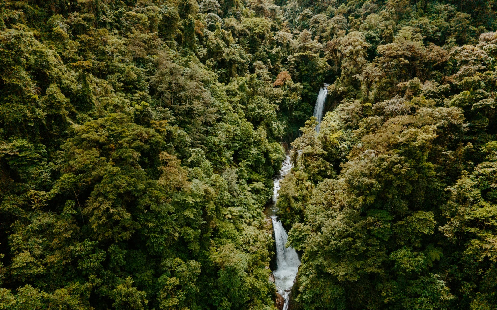 La_Paz_Waterfall_Costa_Rica_Unsplash_CCChristian_Garcia_o4qweo