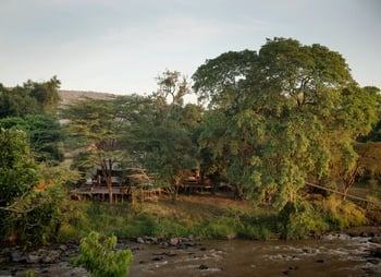 The camp perches on the grassy banks of the Mara River as it tumbles by.