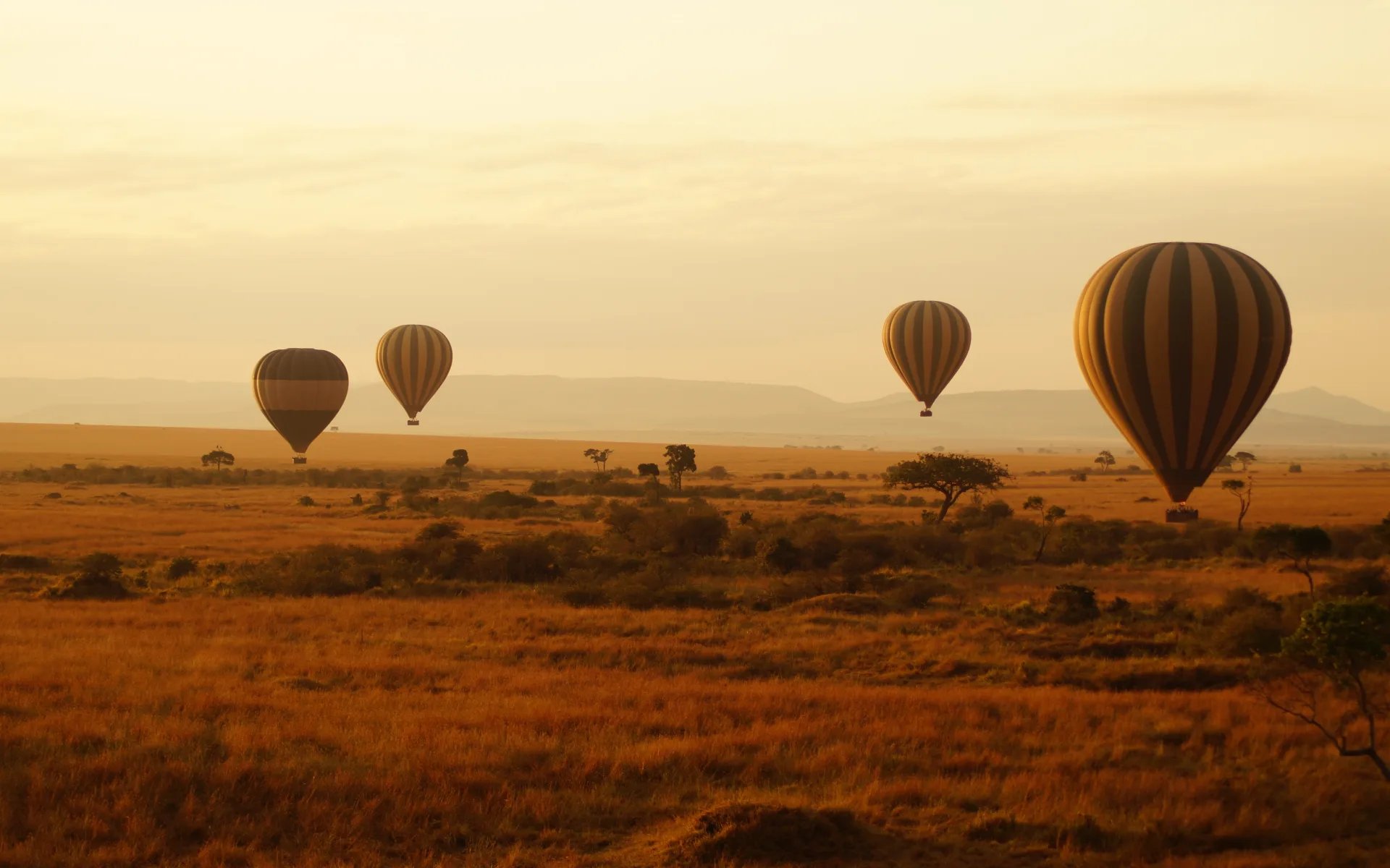 Several hot air balloons float over the Masai Mara savannah during an orange sunset.
