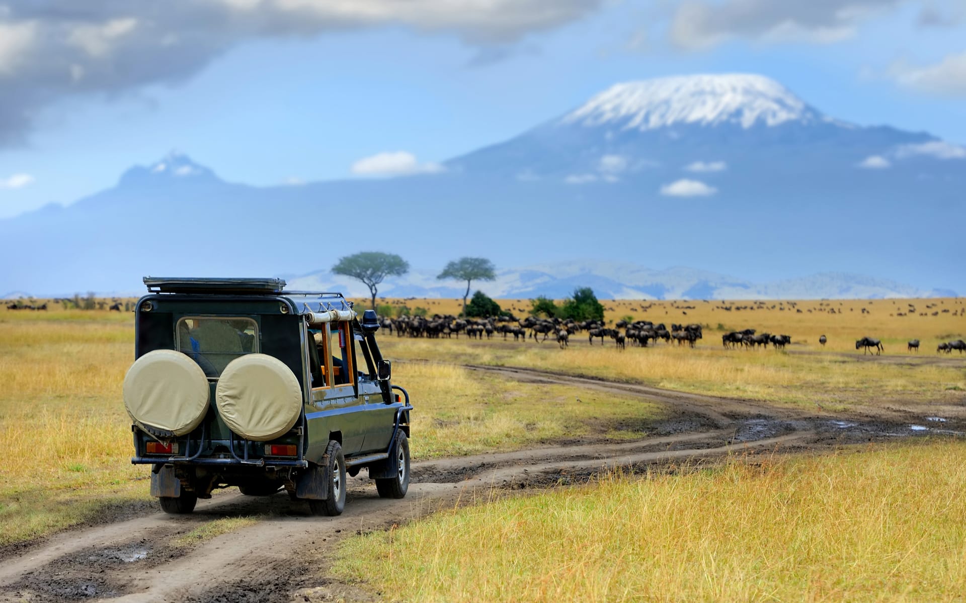 A 4x4 vehicle drives towards a towering mountain peak on the Masai Mara during daytime.