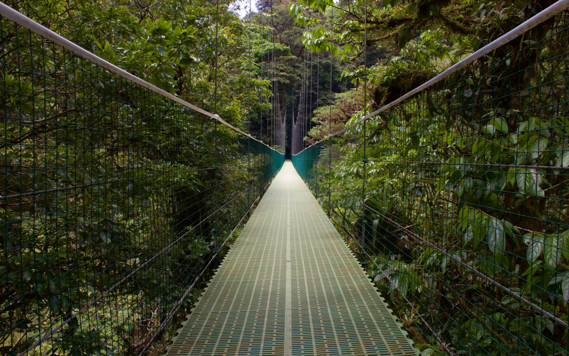 Monteverde_Unsplash_2020_CCLeslie_Cross_zdegzk