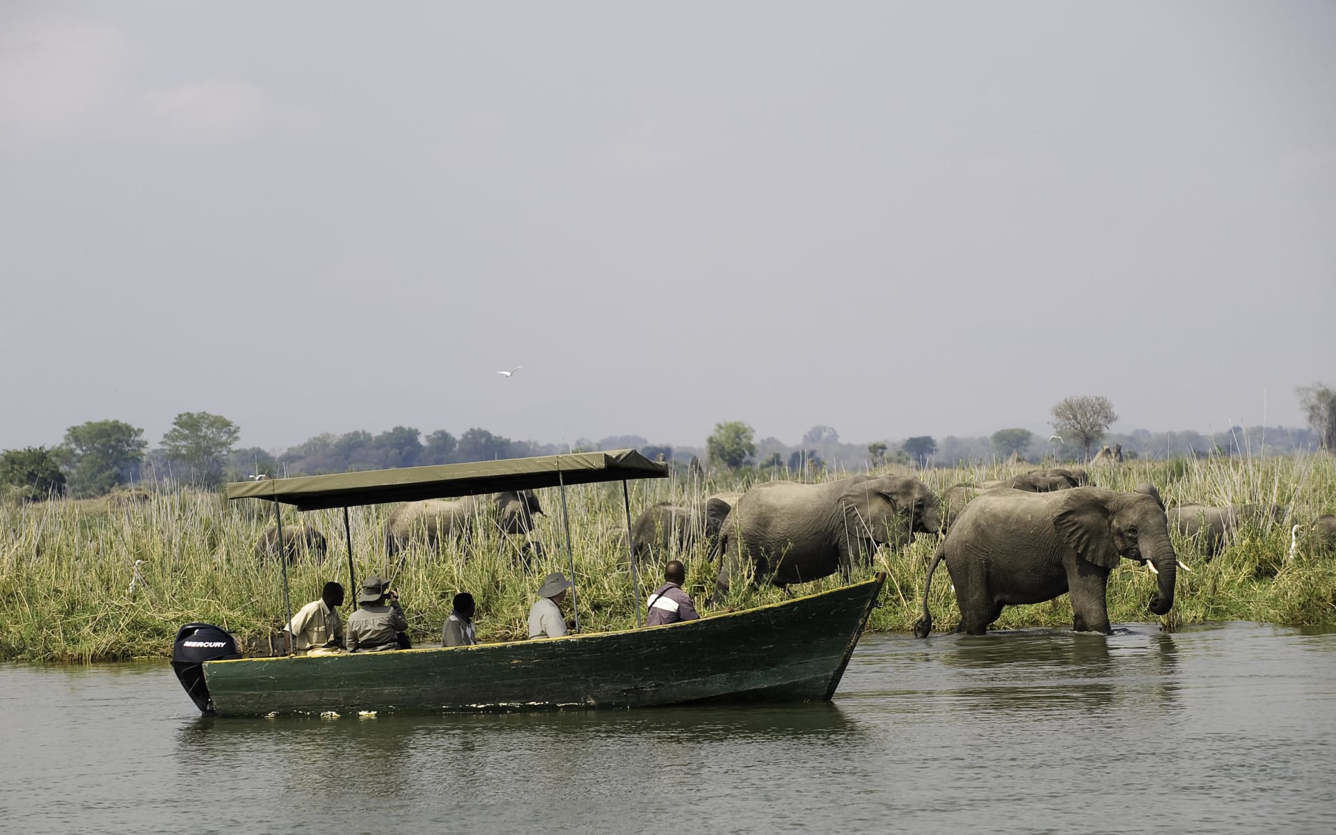 Mvuu_Camp_malawi_elephant_boat_safari