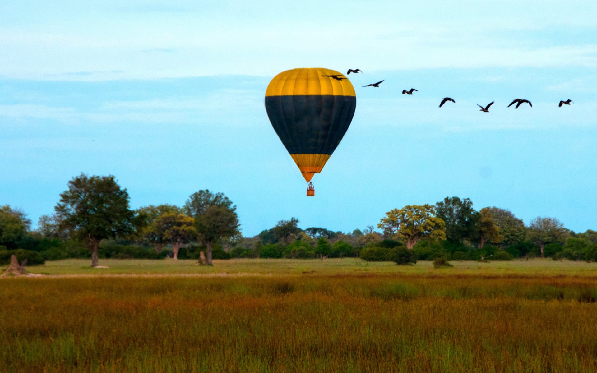 North_Island_Okavango_Ballooning_a13max-1