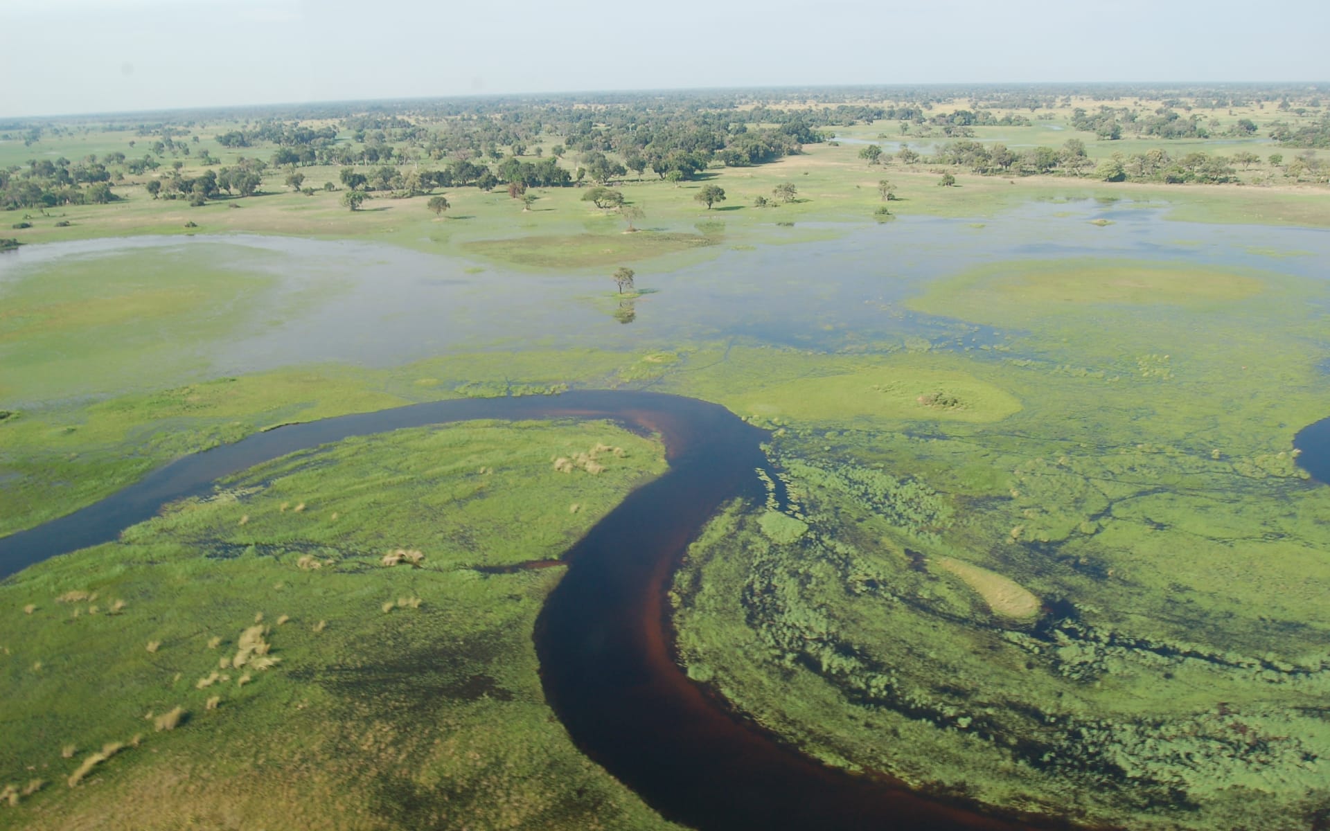 Okavango_Delta_Botswana-1
