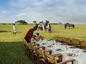 A lodge worker sets up a bush dining set-up surrounded by grasslands as three horses are being prepared for riding.