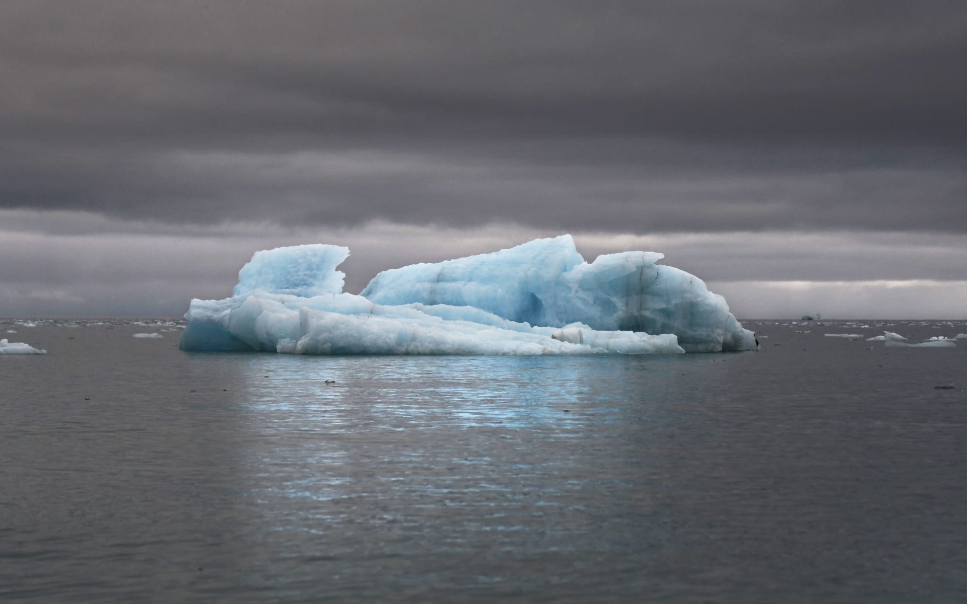 Ortelius__Iceberg_CCGeert_Kroes_oggkri