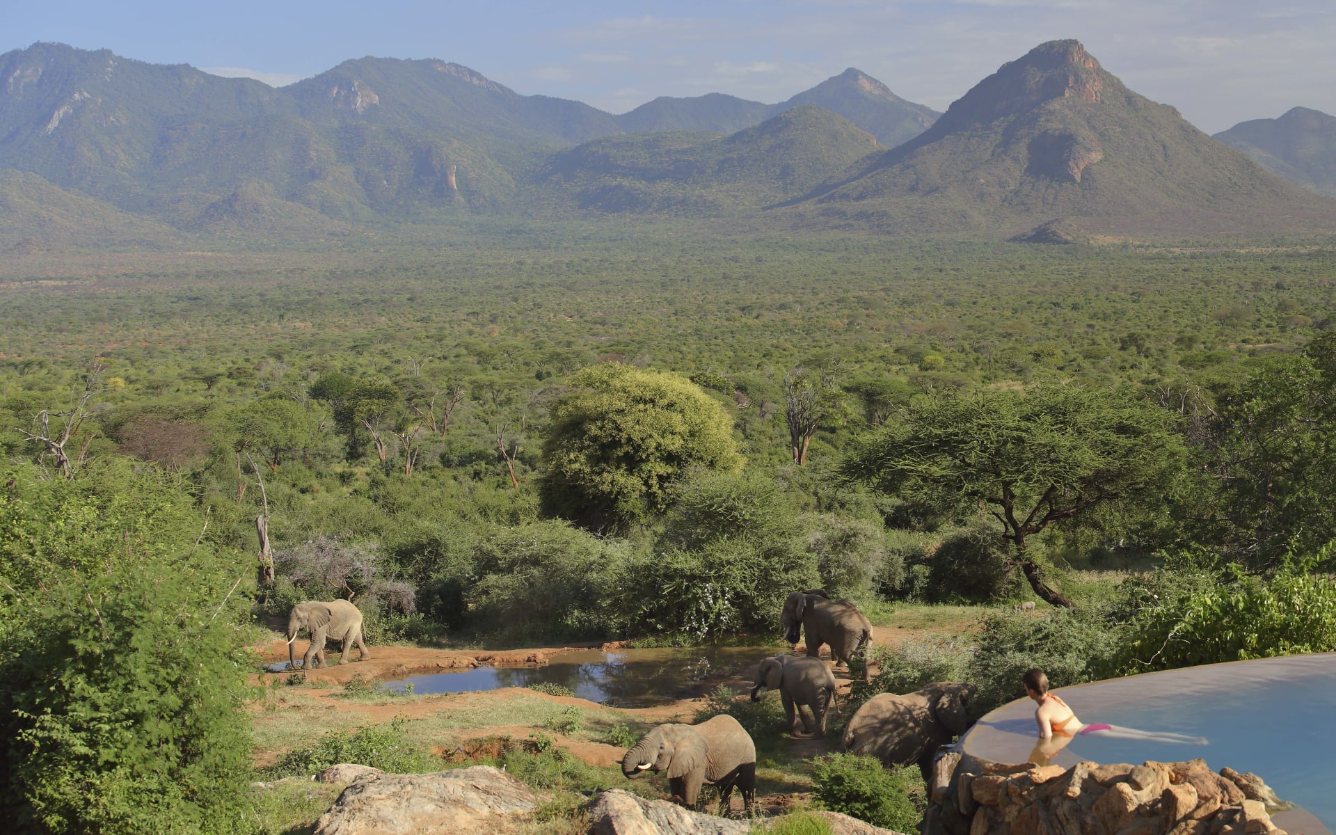 Sarara_Camp_kenya_elephants-1
