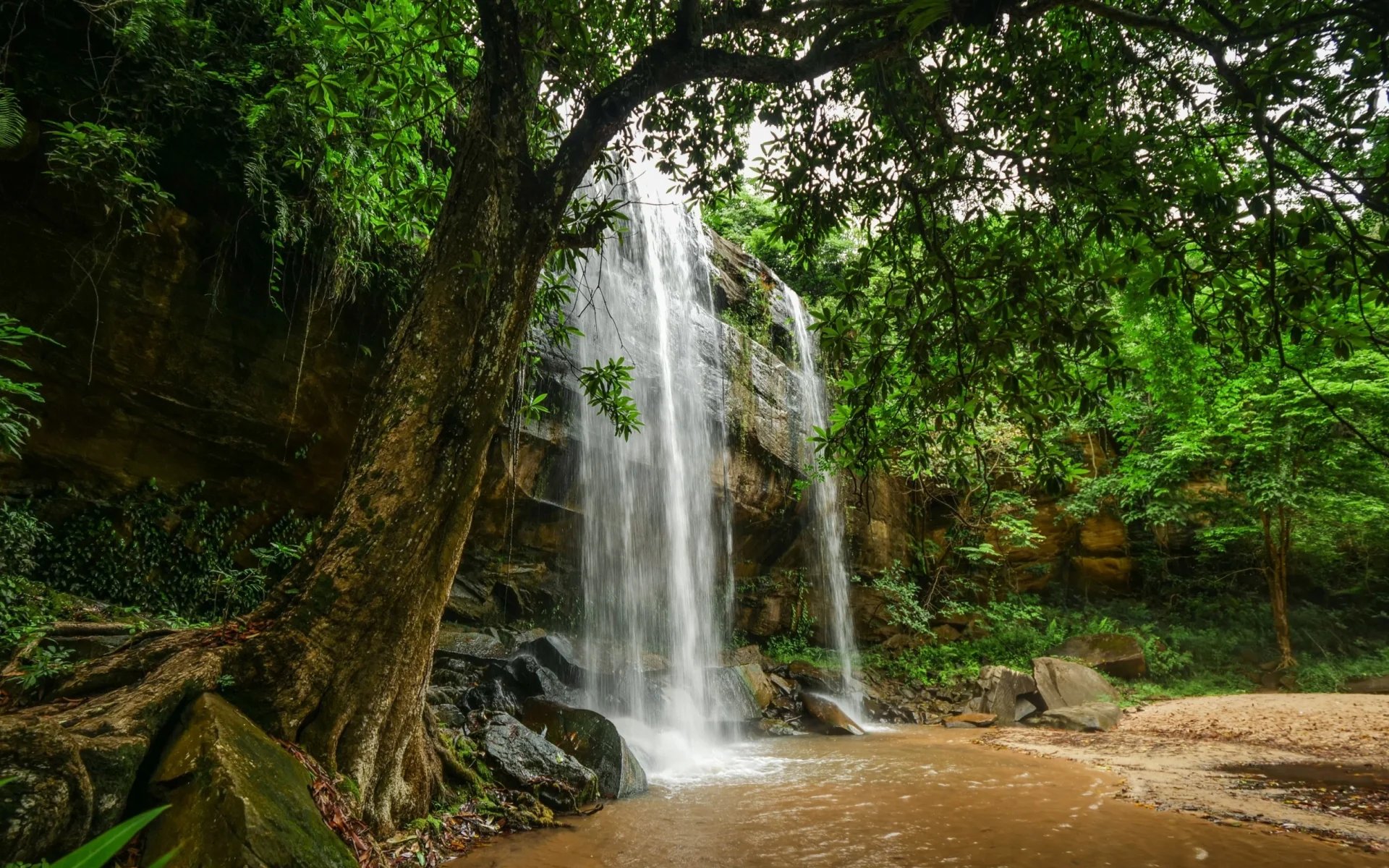 A beautiful waterfall tumbles gracefully in Shimba Hills National PArk