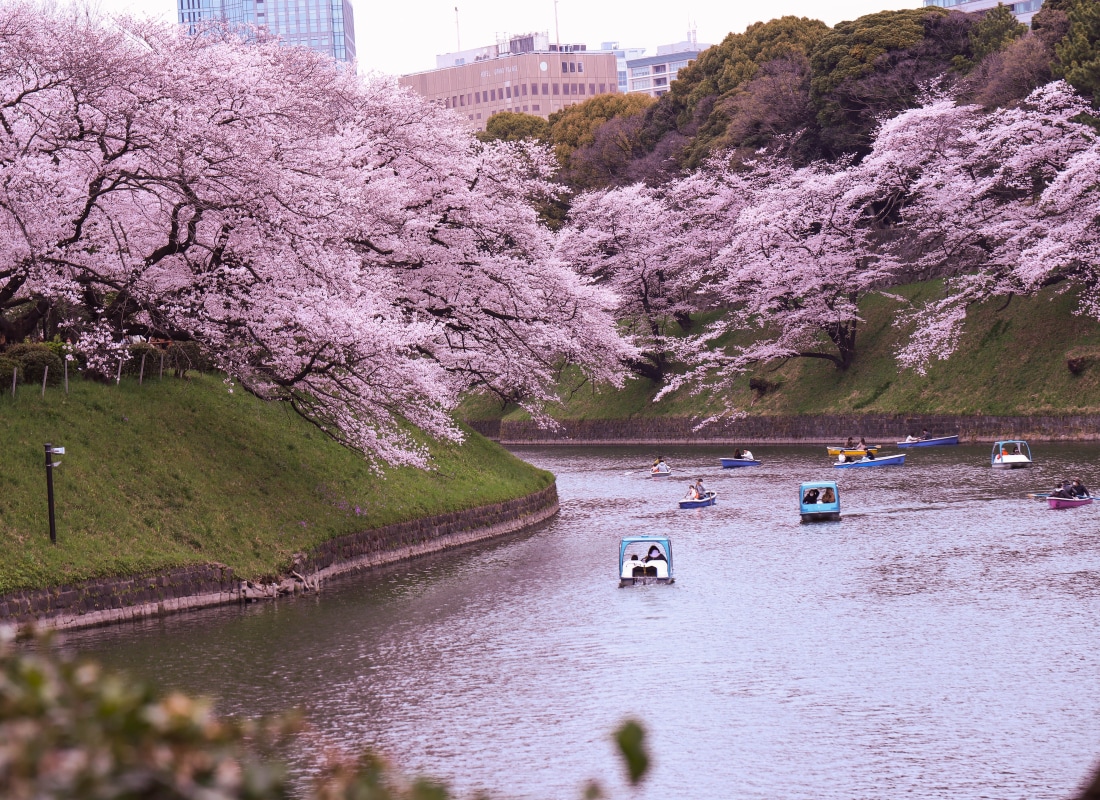 There are boats rowing along the Chidorigafuchi Moat in Tokyo, Japan