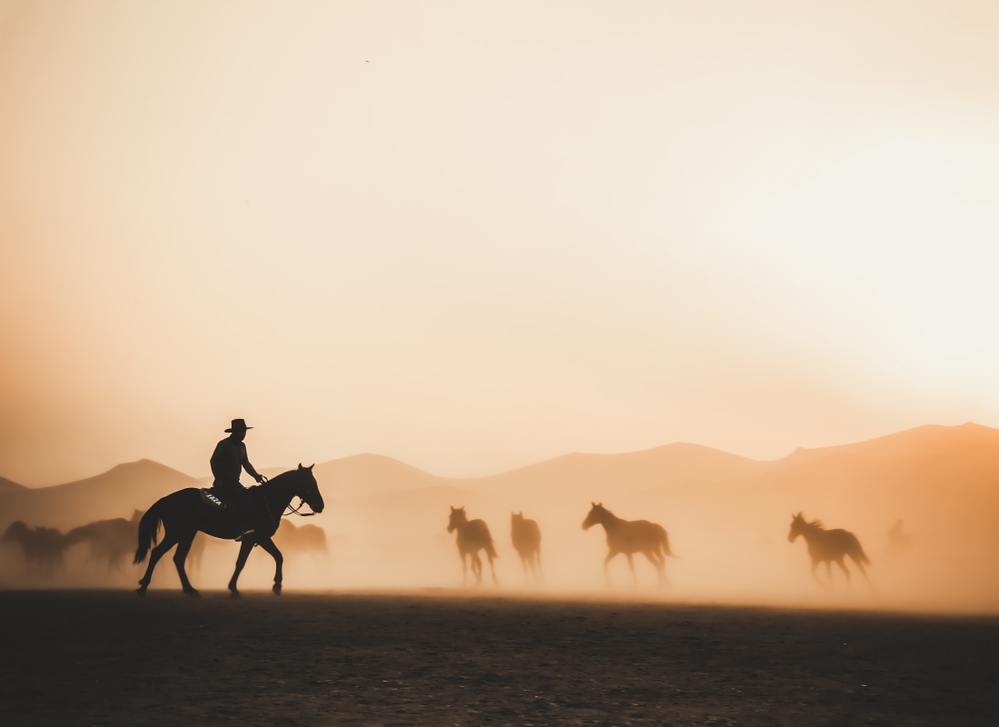A man in black silhouette rides a horse herding a flock of other horses. 