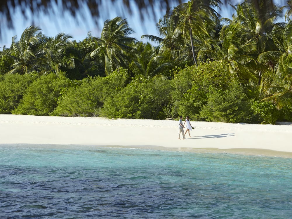 dusit-thani-maldives_white-sand-beach--1