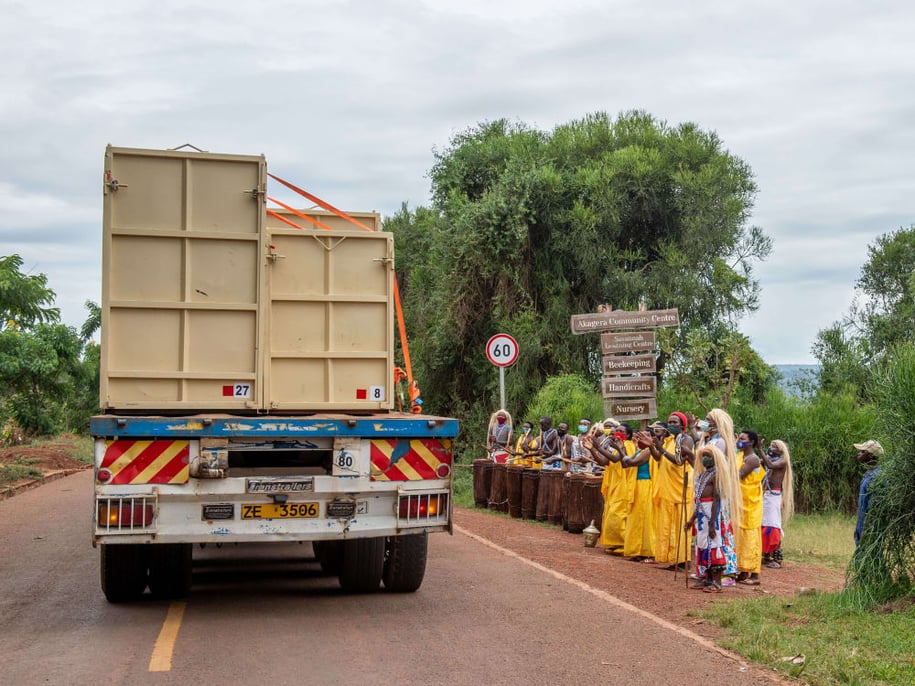 local-celebrations-as-the-rhinos-near-akagera-gael-vande-weghe-african-parks_gaouh6