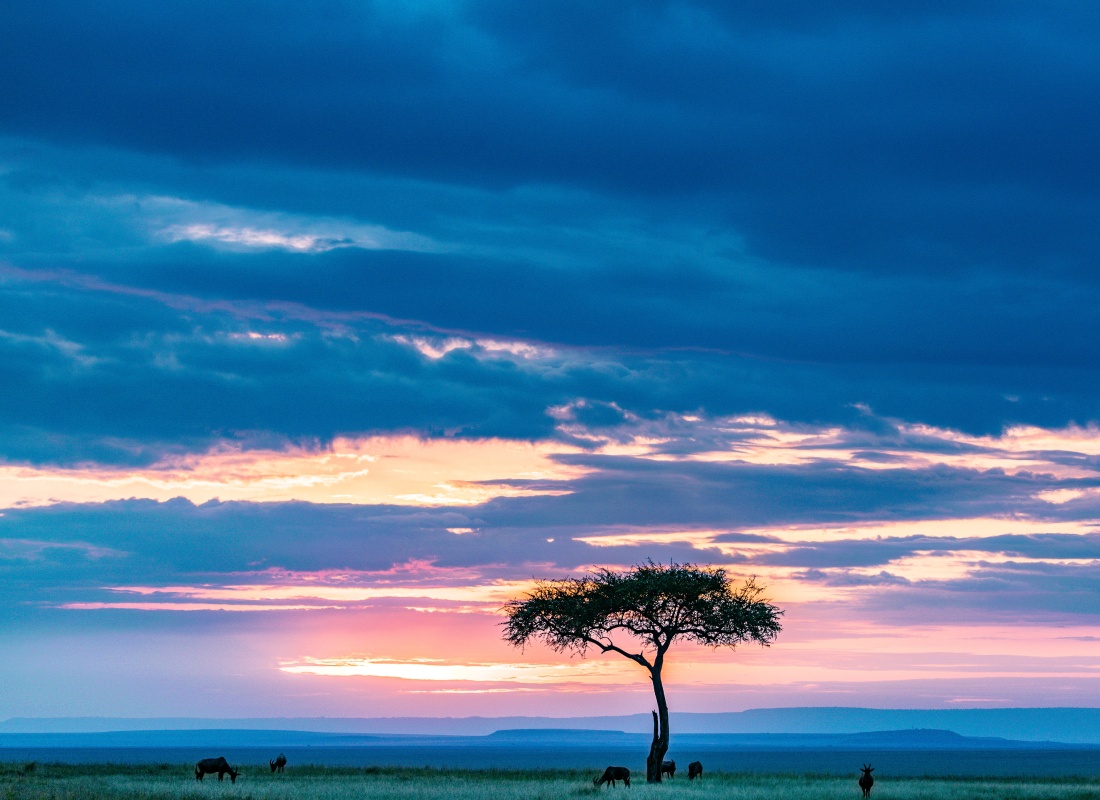maasai-mara-7446939_vc8mqf