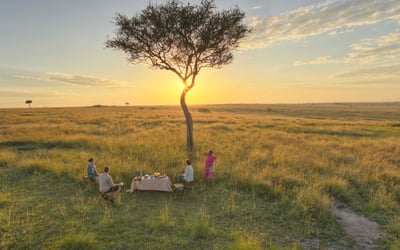 A group are sitting at a breakfast table in the middle of the wilderness, watching the sunrise. 