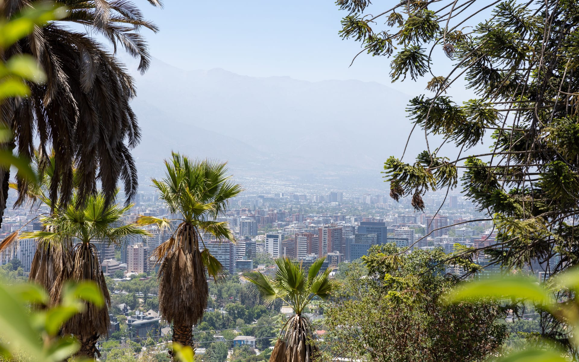 View of Santiago from the trees.