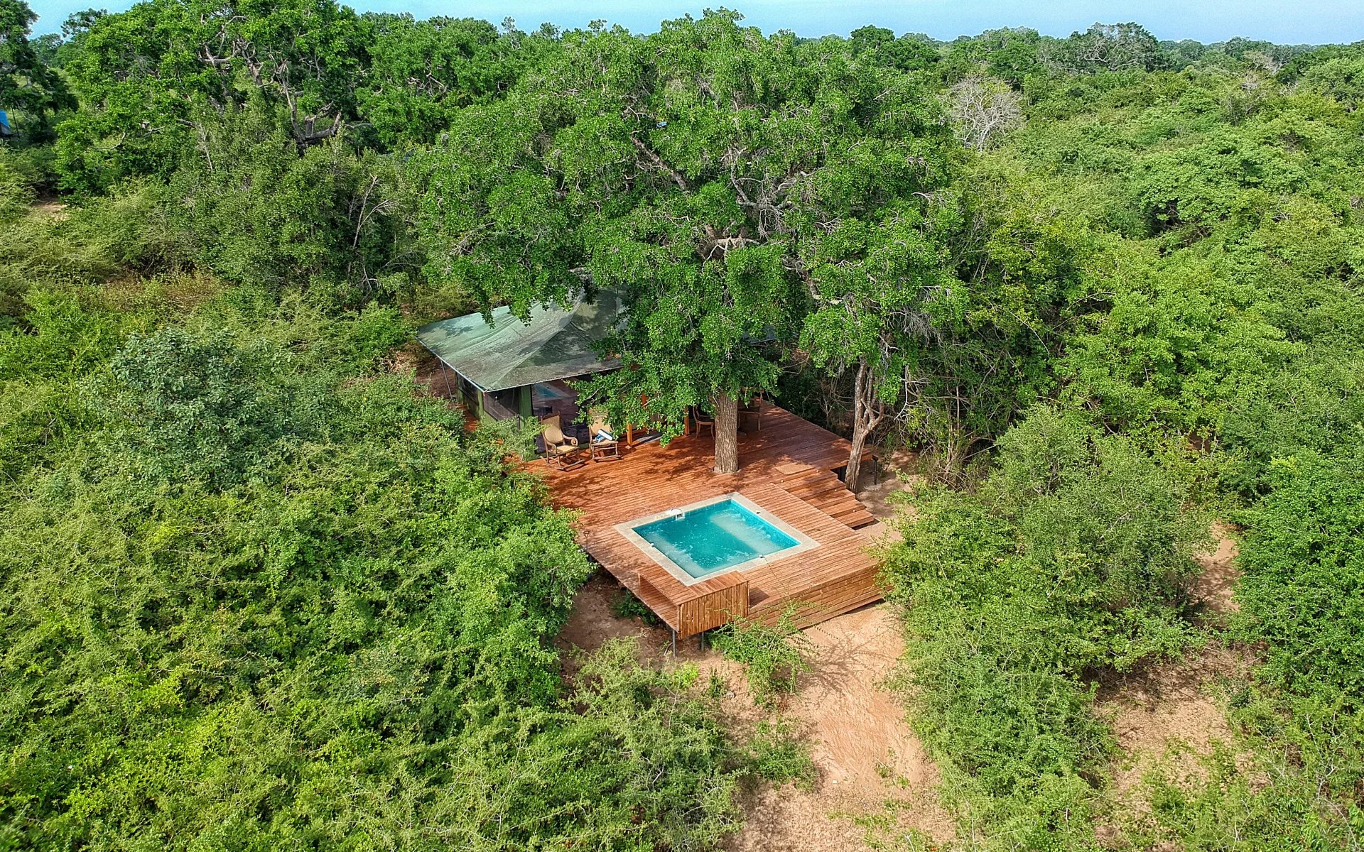 Tribe Yala's bungalows are surrounded by trees and have a pool situated on a wooden deck. 
