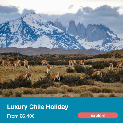 Luxury Chile Holiday