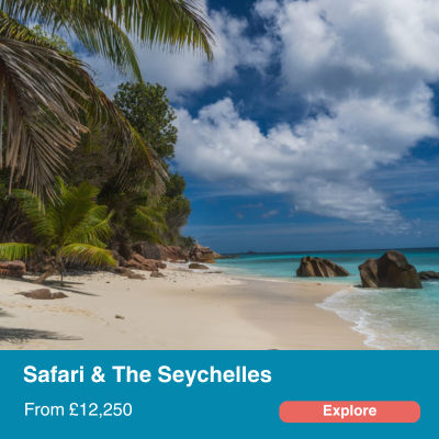 Safari & The Seychelles 