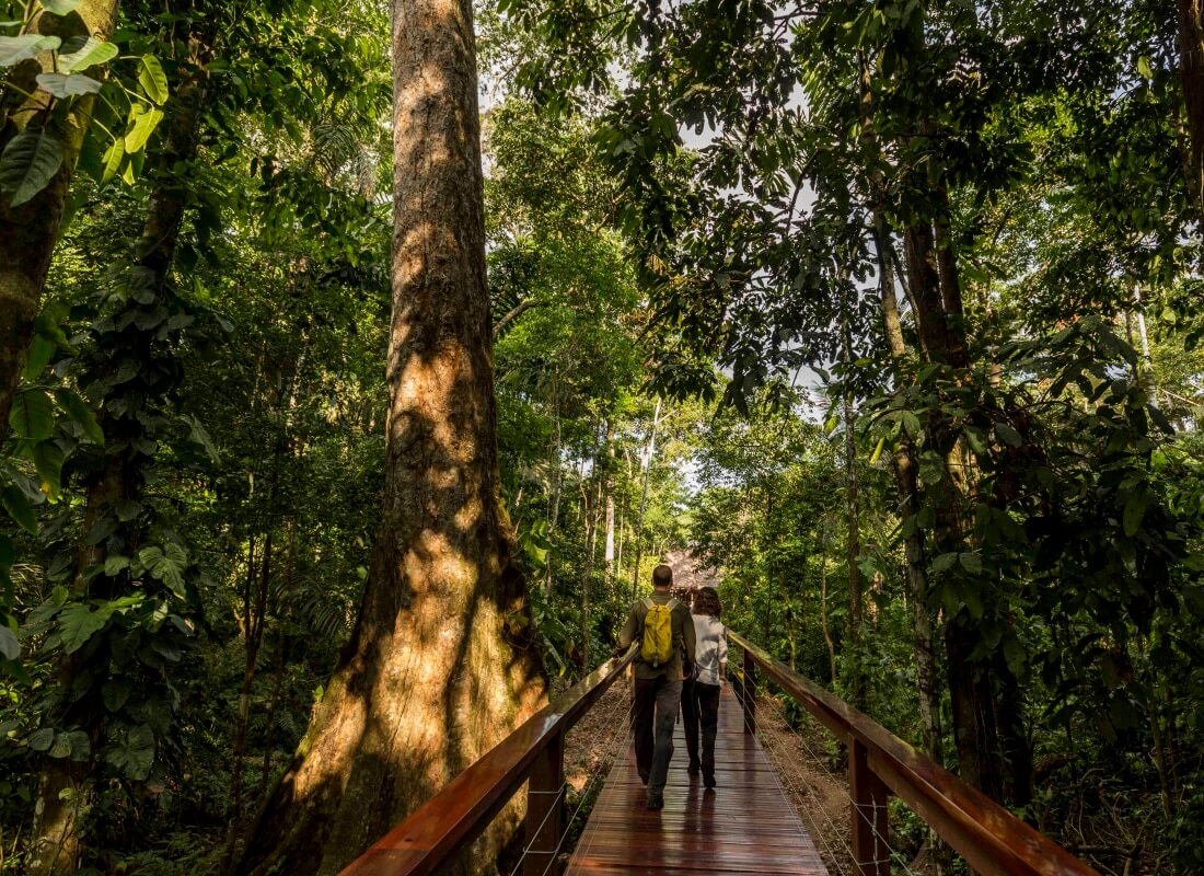 Two people walk along a wooden pathway in Peru's rainforest towards to Tambopata Research Centre.