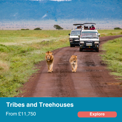 Tribes and Treehouses-1