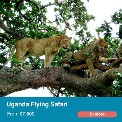 Uganda Flying Safari-1