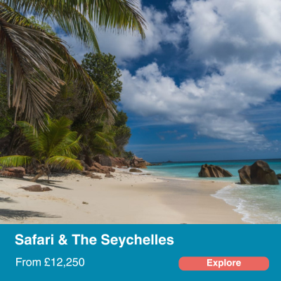 Safari and seychelles
