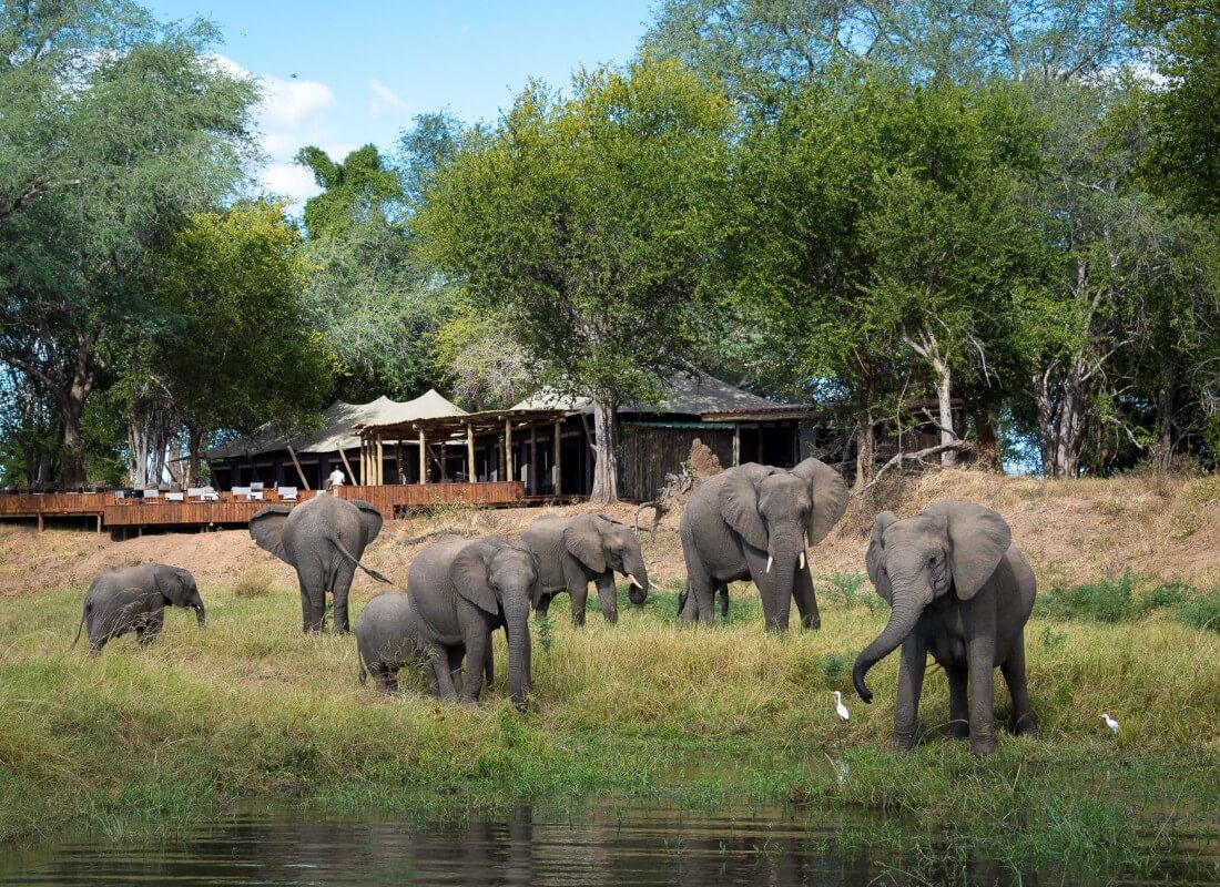 A herd of elephants enjoy the watering hole at Ruckomechi Camp