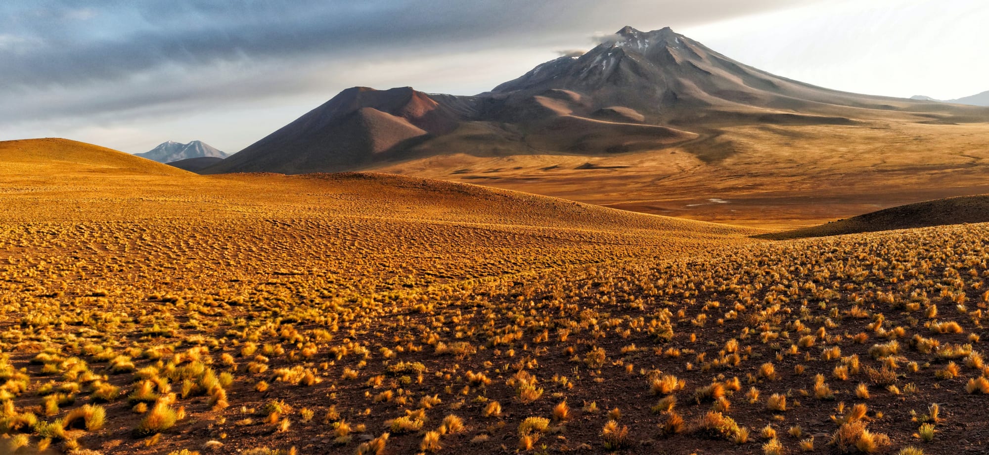 The dry desert of Atacama is backed by towering mountains. 