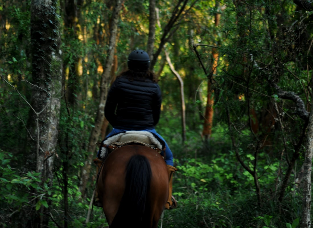 A woman is horseriding through a green forest.