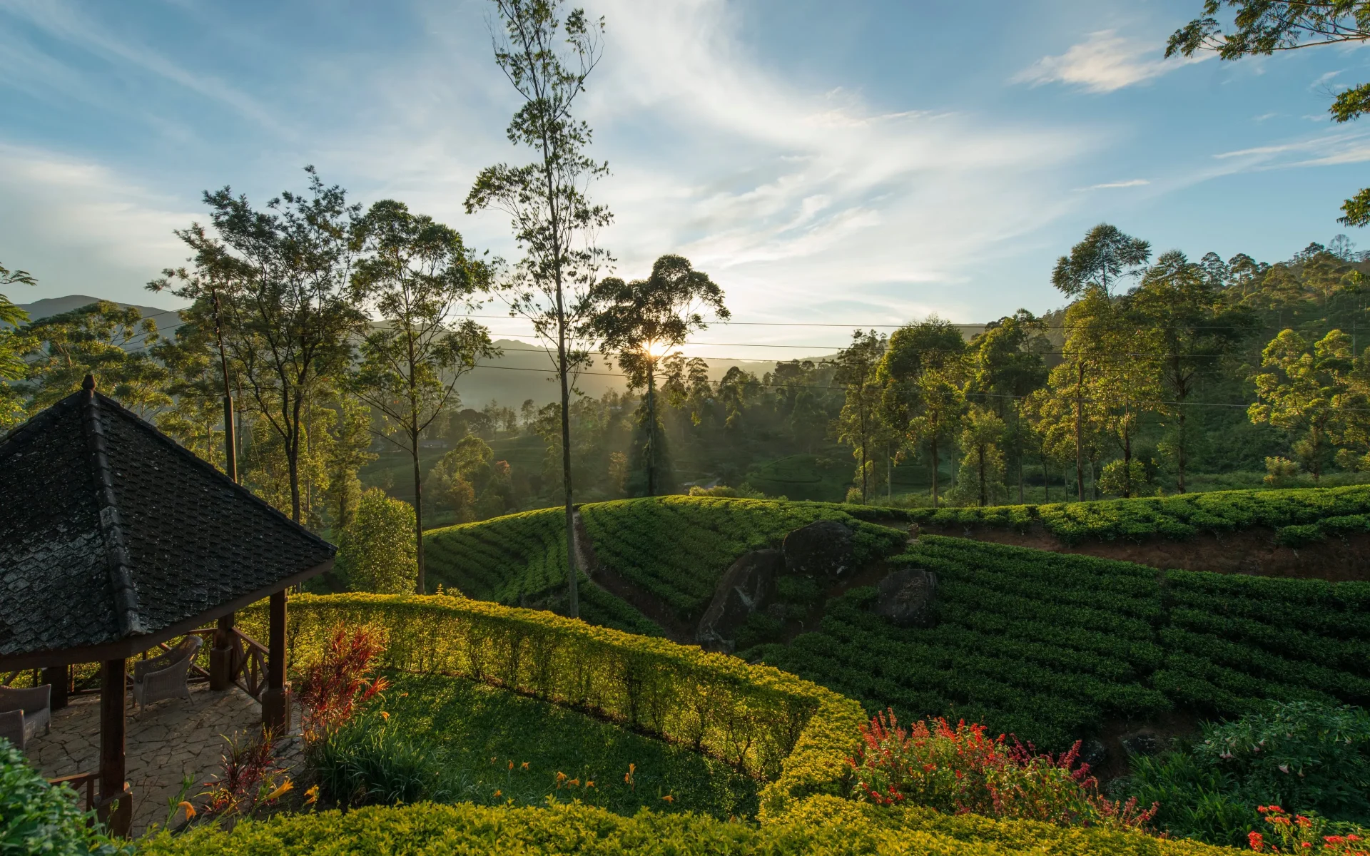 Ceylon Tea Trails 