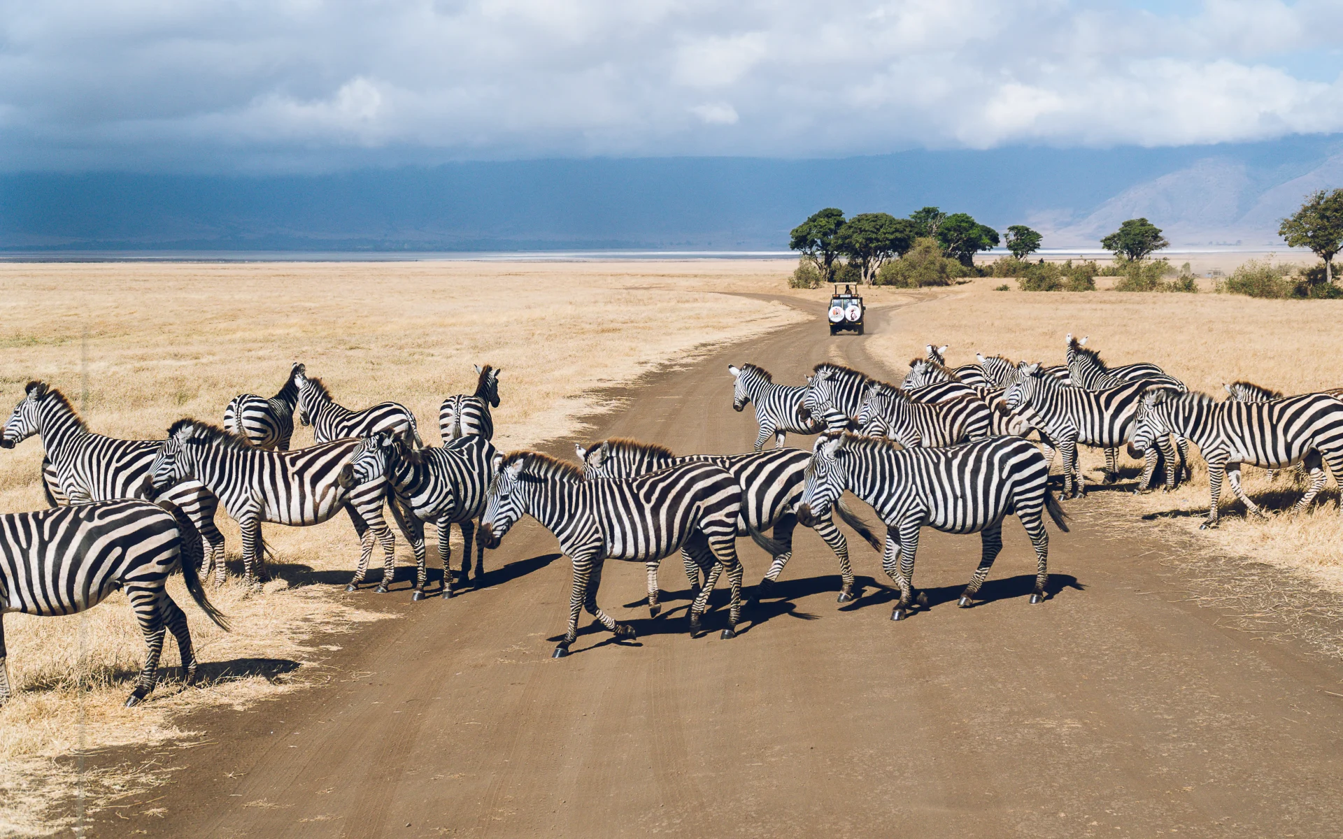 Tanzania Great Migration Safari