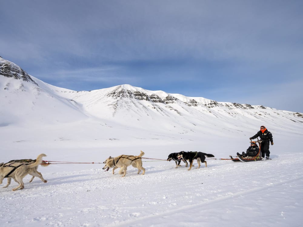 Arctic Winter Dog Sled Adventure